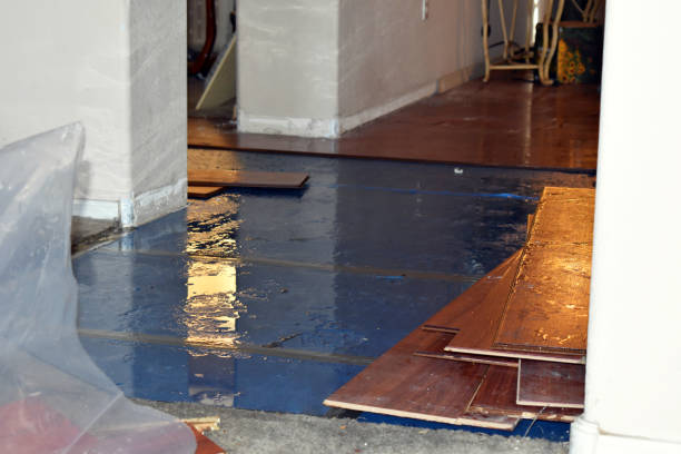 Professional Water Damage Restoration technician working in Fall City, WA